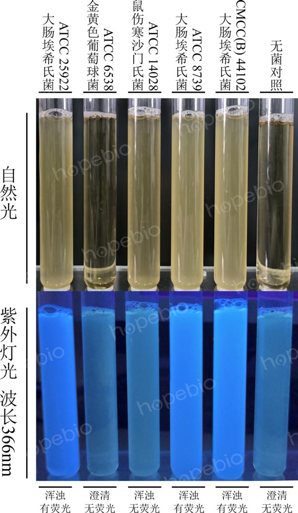 EC-MUGB΢|(zh)ؽY