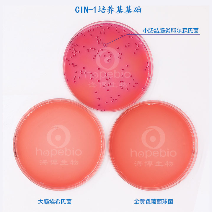 CIN-1BA