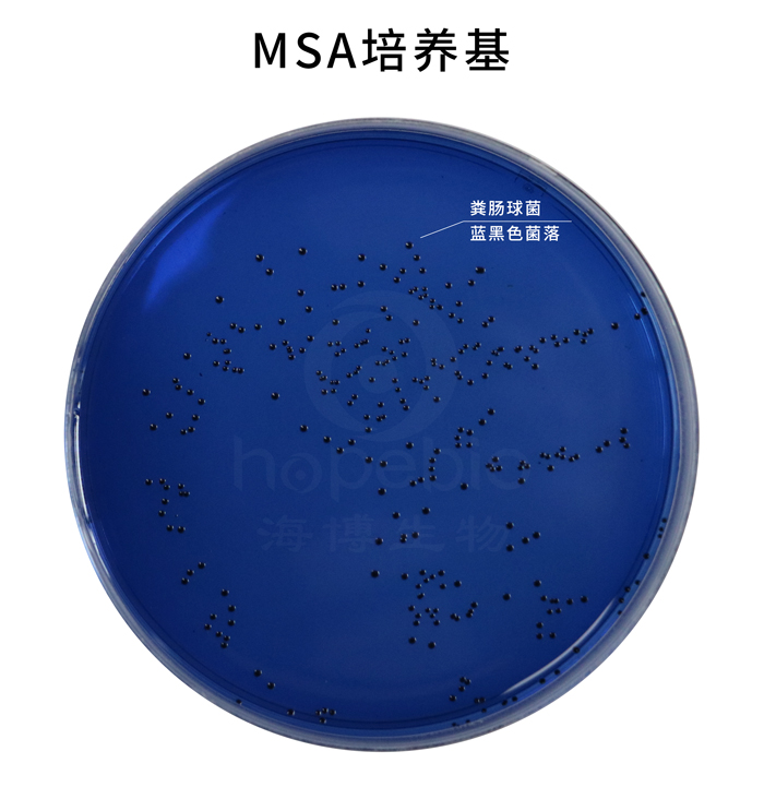 MSAB