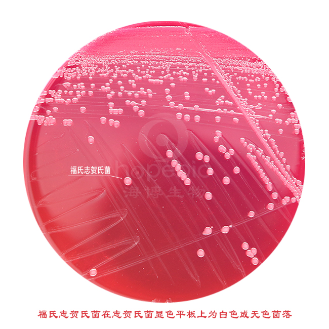 ־RϾ-־RϾ@ɫB