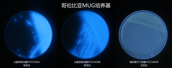 炐ȁMUGB