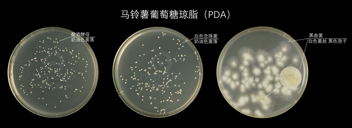 Rǭ֬PDA