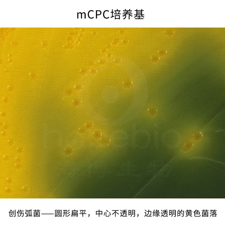 mCPCB(chung