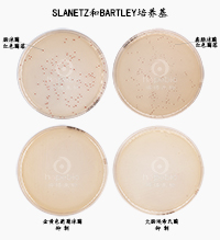 SLANETZBARTLEYB/
