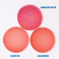 CIN-1BA