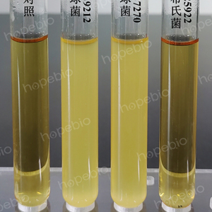 |(zh)ؾں6.5%ȻcXĽҺ✫BеL(chng)r/