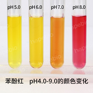 Ӽt pH4.0-9.0ɫ׃