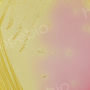 ͬ½Sɫڸ¶}֬ϵĠB(ti)/